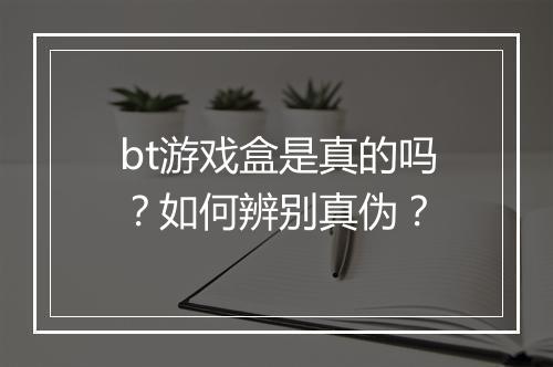 bt游戏盒是真的吗?如何辨别真伪?