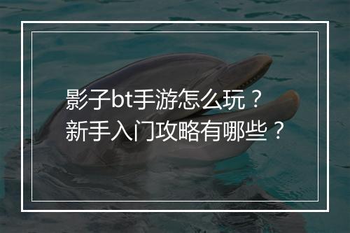 影子bt手游怎么玩？新手入门攻略有哪些？