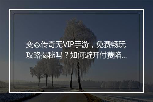变态传奇无VIP手游,免费畅玩攻略揭秘吗?如何避开付费陷阱?