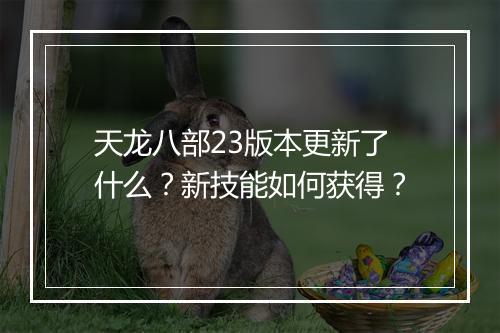 天龙八部23版本更新了什么？新技能如何获得？