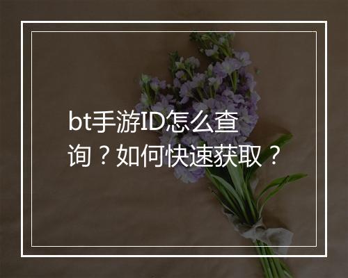 bt手游ID怎么查询？如何快速获取？