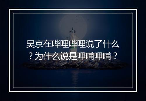 吴京在哔哩哔哩说了什么？为什么说是呷哺呷哺？