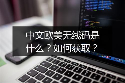 中文欧美无线码是什么？如何获取？