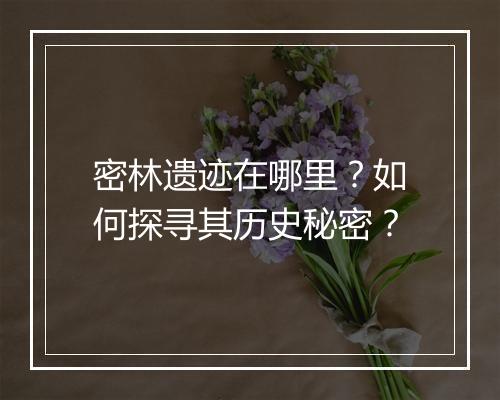 密林遗迹在哪里？如何探寻其历史秘密？