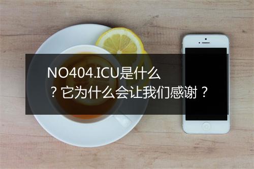 NO404.ICU是什么？它为什么会让我们感谢？