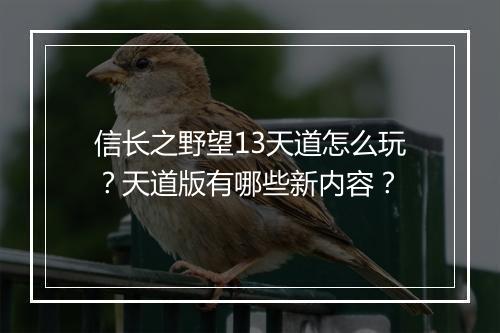 信长之野望13天道怎么玩?天道版有哪些新内容?