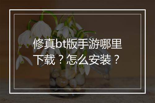 修真bt版手游哪里下载？怎么安装？