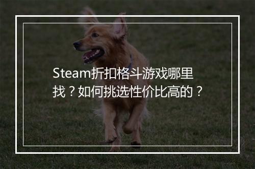 Steam折扣格斗游戏哪里找？如何挑选性价比高的？