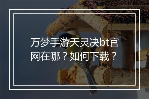 万梦手游天灵决bt官网在哪？如何下载？