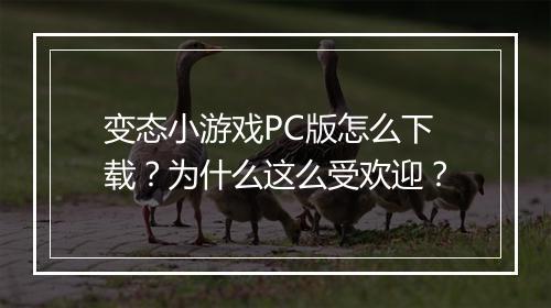 变态小游戏PC版怎么下载？为什么这么受欢迎？