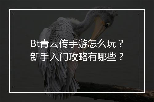 Bt青云传手游怎么玩？新手入门攻略有哪些？