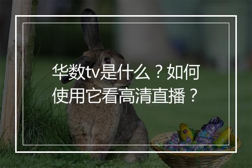 华数tv是什么？如何使用它看高清直播？