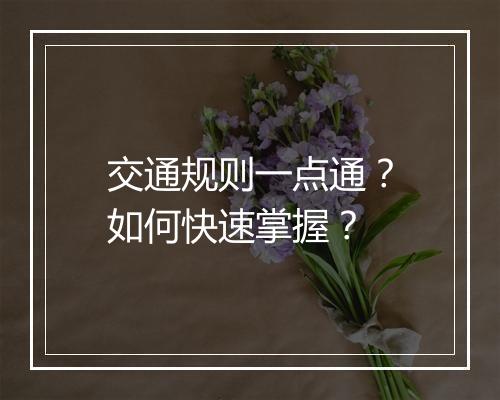 交通规则一点通？如何快速掌握？