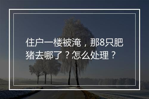 住户一楼被淹，那8只肥猪去哪了？怎么处理？