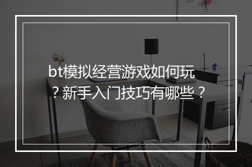 bt模拟经营游戏如何玩？新手入门技巧有哪些？