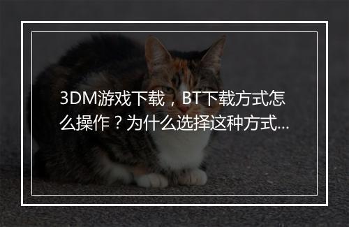 3DM游戏下载，BT下载方式怎么操作？为什么选择这种方式？