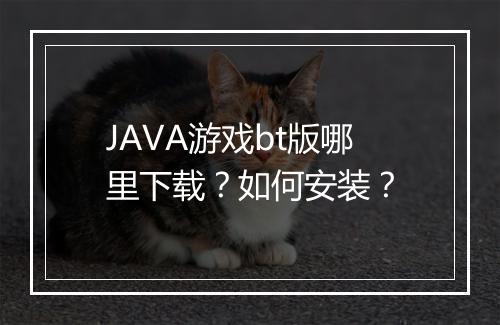 JAVA游戏bt版哪里下载？如何安装？