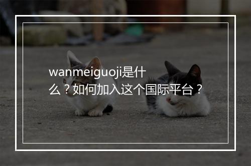 wanmeiguoji是什么?如何加入这个国际平台?