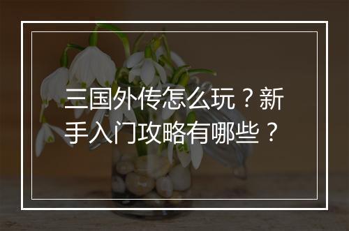 三国外传怎么玩？新手入门攻略有哪些？