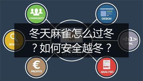 冬天麻雀怎么过冬？如何安全越冬？