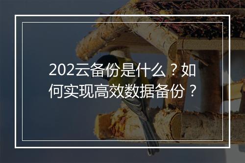 202云备份是什么？如何实现高效数据备份？