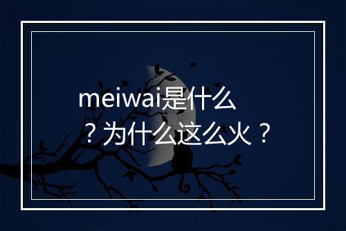 meiwai是什么？为什么这么火？