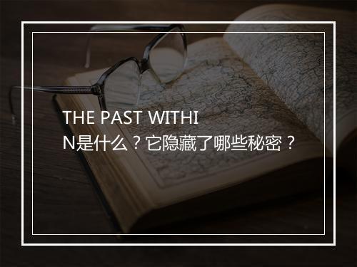 THE PAST WITHIN是什么?它隐藏了哪些秘密?