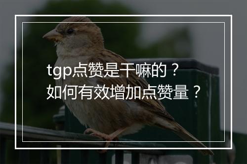tgp点赞是干嘛的？如何有效增加点赞量？