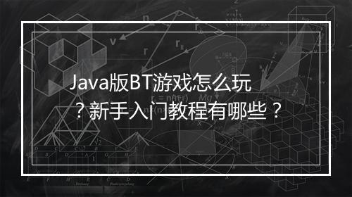 Java版BT游戏怎么玩？新手入门教程有哪些？