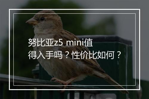 努比亚z5 mini值得入手吗?性价比如何?