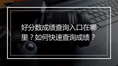 好分数成绩查询入口在哪里？如何快速查询成绩？