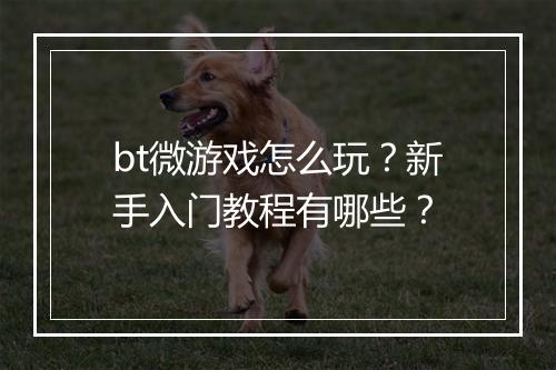 bt微游戏怎么玩?新手入门教程有哪些?