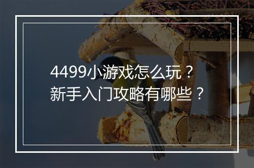 4499小游戏怎么玩？新手入门攻略有哪些？