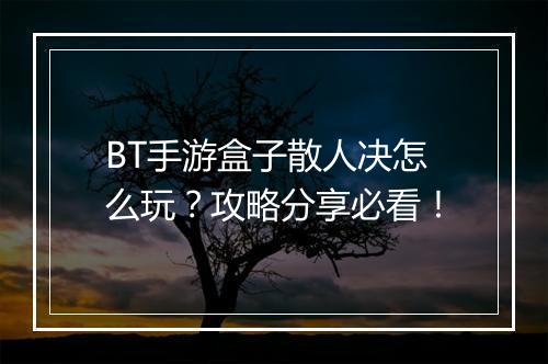BT手游盒子散人决怎么玩？攻略分享必看！