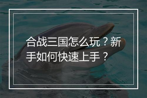 合战三国怎么玩？新手如何快速上手？