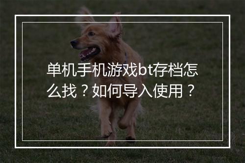 单机手机游戏bt存档怎么找?如何导入使用?