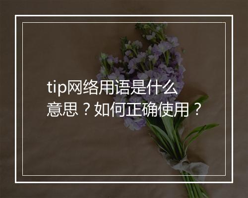 tip网络用语是什么意思?如何正确使用?