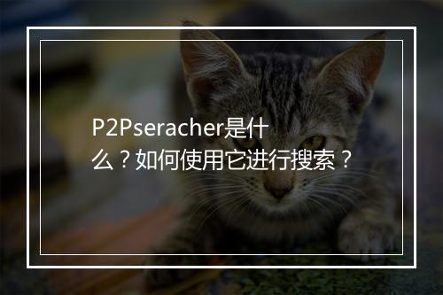 P2Pseracher是什么？如何使用它进行搜索？