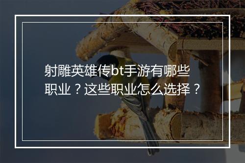 射雕英雄传bt手游有哪些职业?这些职业怎么选择?