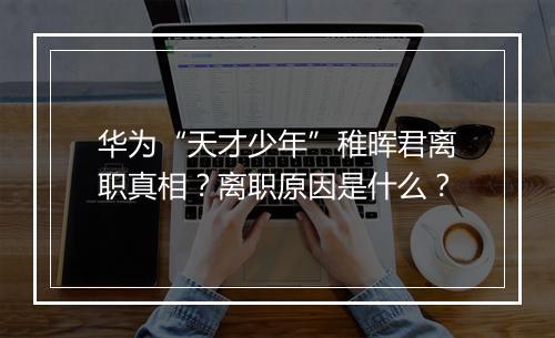 华为“天才少年”稚晖君离职真相？离职原因是什么？
