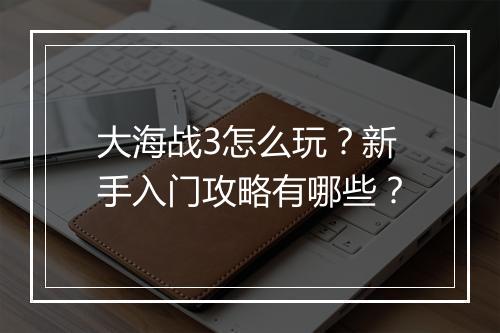大海战3怎么玩？新手入门攻略有哪些？