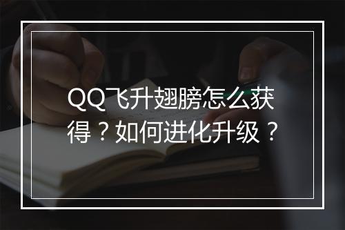 QQ飞升翅膀怎么获得?如何进化升级?
