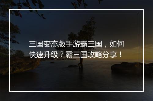 三国变态版手游霸三国，如何快速升级？霸三国攻略分享！