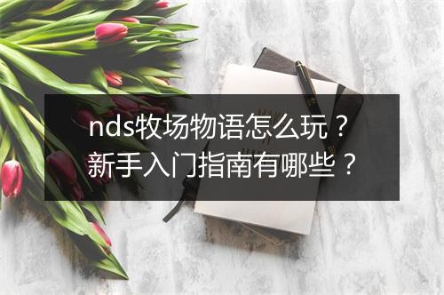 nds牧场物语怎么玩?新手入门指南有哪些?