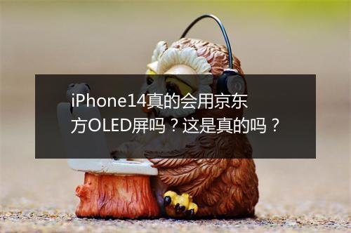 iPhone14真的会用京东方OLED屏吗?这是真的吗?
