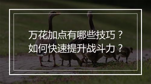万花加点有哪些技巧？如何快速提升战斗力？