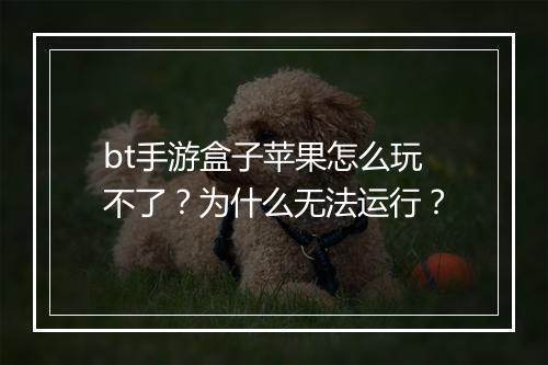 bt手游盒子苹果怎么玩不了?为什么无法运行?