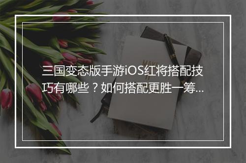 三国变态版手游iOS红将搭配技巧有哪些？如何搭配更胜一筹？