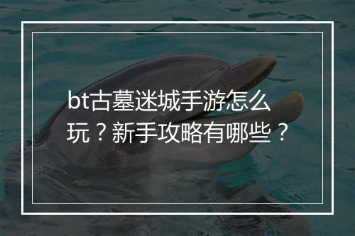 bt古墓迷城手游怎么玩？新手攻略有哪些？