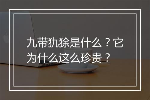 九带犰狳是什么？它为什么这么珍贵？